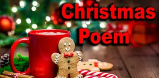 Christmas Poems for Kids & Adults: Short, Funny, Inspirational Poems That Rhyme Christmas Poems